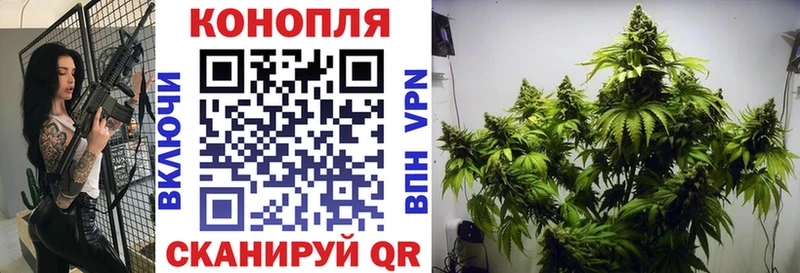 купить наркотики цена  Артём  Бошки марихуана гибрид 